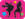 Icon Media 2